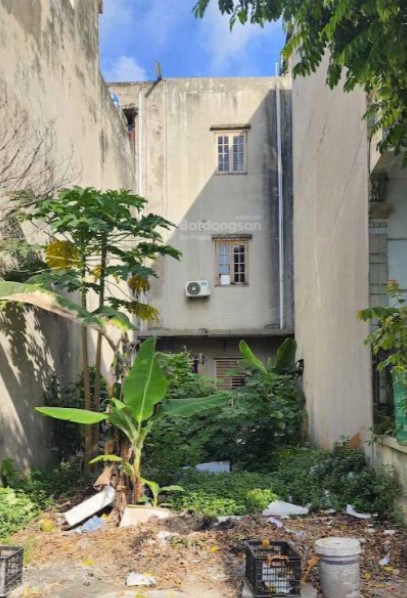 Mảnh đất 50m Liên Ninh ngay sát Tự khoát, Ngũ Hiệp, ô tô vào được giá 5.6 tỷ - Ảnh chính